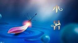 荷花开放的季节，以清新荷花为背景的唯美2021年小暑节气壁纸图片