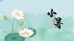 荷花开放的季节，以清新荷花为背景的唯美2021年小暑节气壁纸图片