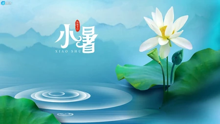 荷花开放的季节，以清新荷花为背景的唯美2021年小暑节气壁纸图片