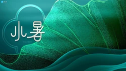 荷花开放的季节，以清新荷花为背景的唯美2021年小暑节气壁纸图片