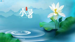 荷花开放的季节，以清新荷花为背景的唯美2021年小暑节气壁纸图片