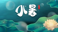 荷花开放的季节，以清新荷花为背景的唯美2021年小暑节气壁纸图片