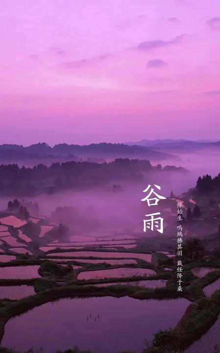 梯田，乡村风 谷雨节气唯美手机壁纸图片