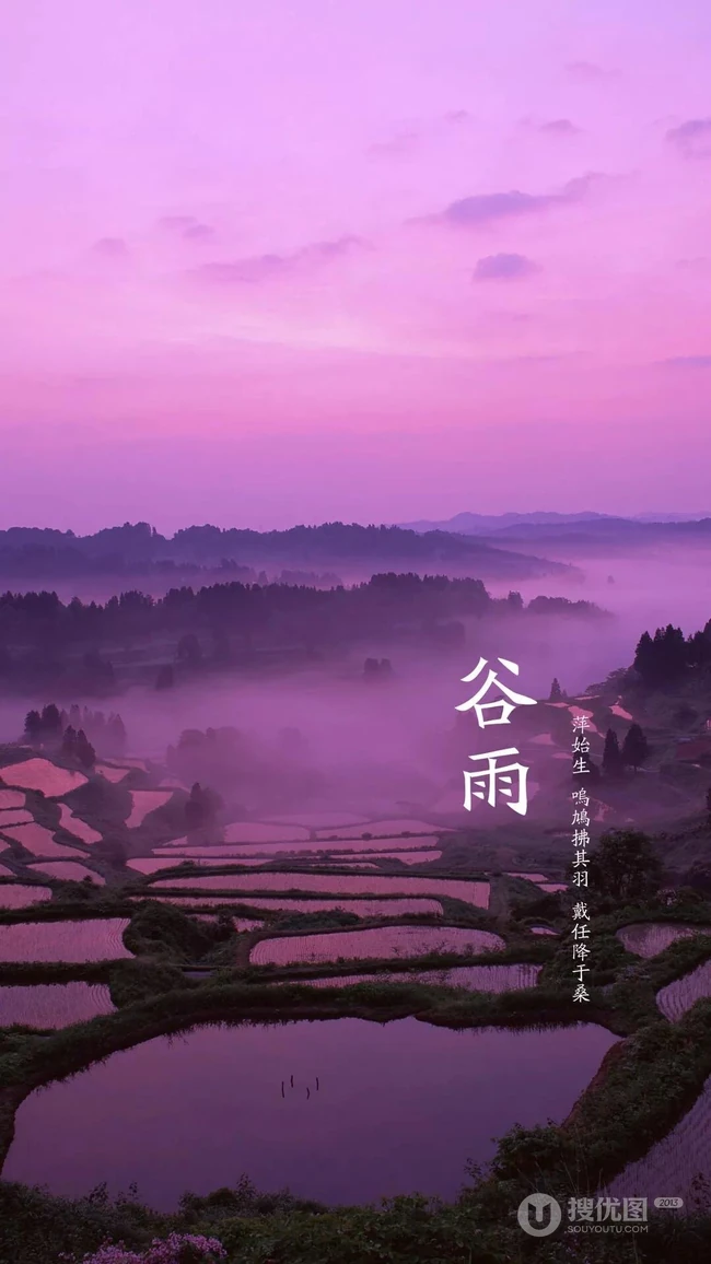 梯田，乡村风 谷雨节气唯美手机壁纸图片