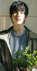 河北籍帅气美少男胡春杨暖色系室内高清写真照片