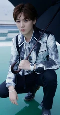 鹿晗水墨风休闲西服黑裤，手拿雨伞宛若翩翩公子户外帅气写真照片