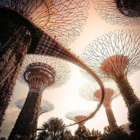 新加坡建筑群，融合科技与自然新加坡特色建筑风景图片