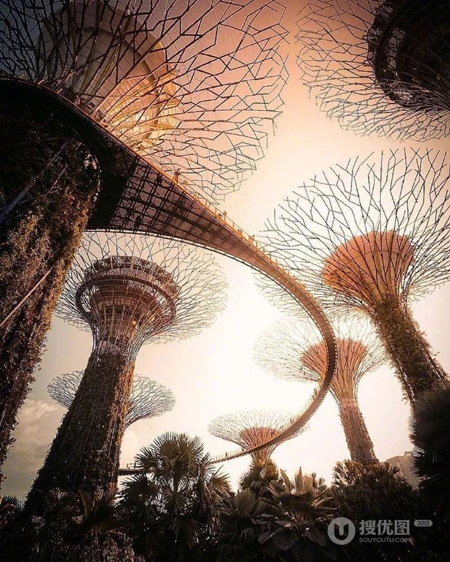 新加坡建筑群，融合科技与自然新加坡特色建筑风景图片