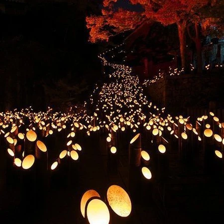 竹灯，夜色下的日本竹灯节唯美意境图片