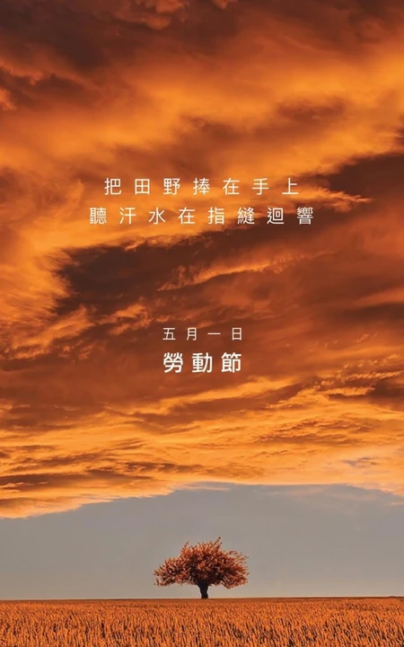 金色的田野，五月一日劳动节田野主题文字手机壁纸图片