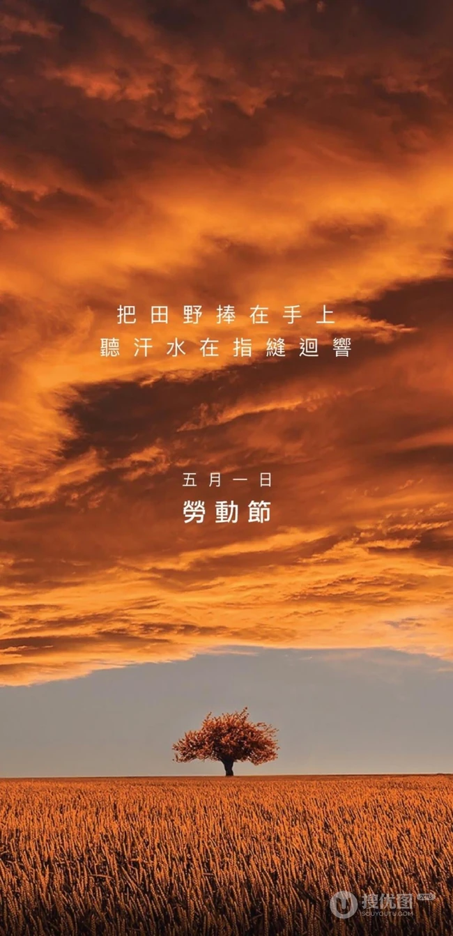 金色的田野，五月一日劳动节田野主题文字手机壁纸图片