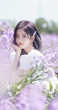 杨超越徜徉紫色花海户外清新清新写真图片