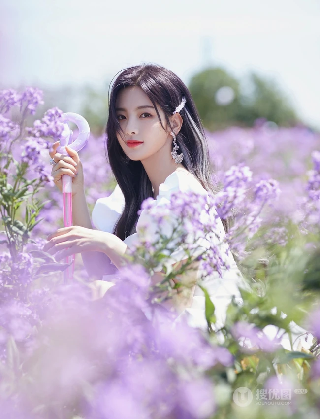 杨超越徜徉紫色花海户外清新清新写真图片