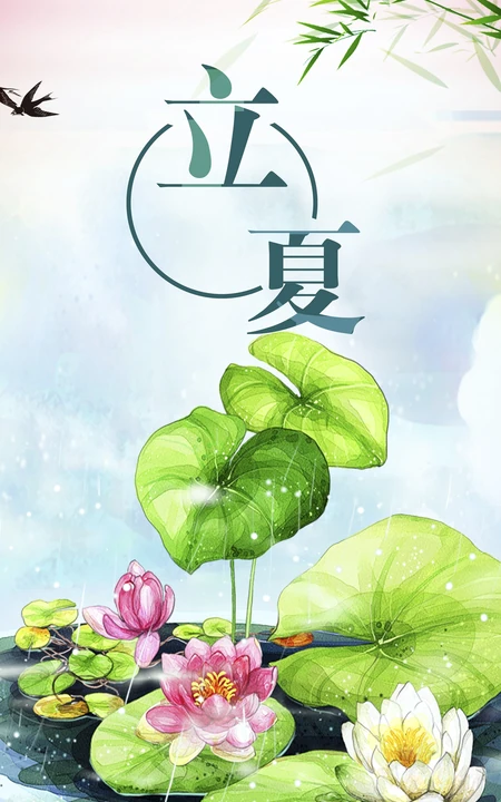 立夏壁纸，卡通荷叶，荷花唯美主题清新立夏手机壁纸图片