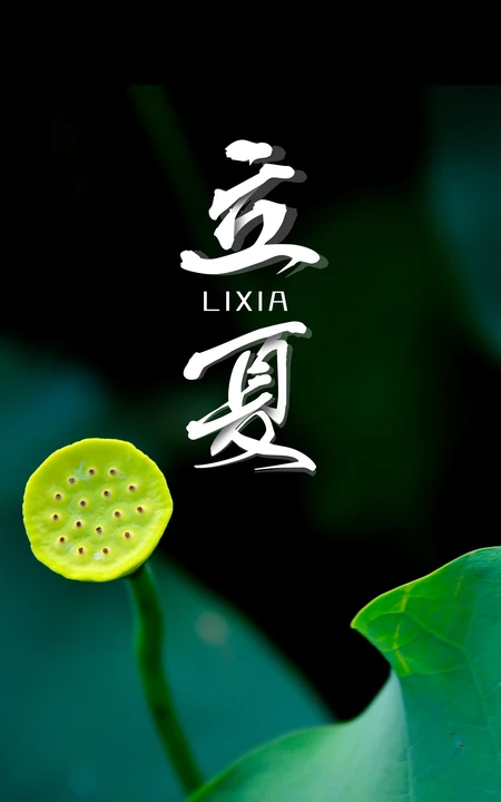 莲蓬，荷叶，清新养眼的绿色，立夏手机壁纸图片