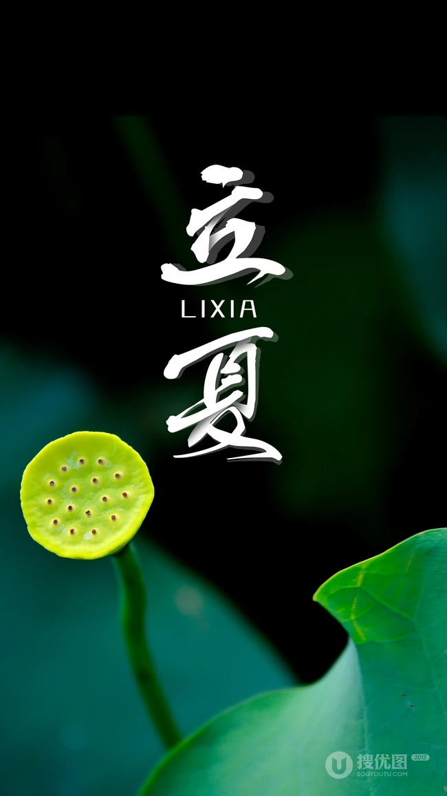 莲蓬，荷叶，清新养眼的绿色，立夏手机壁纸图片