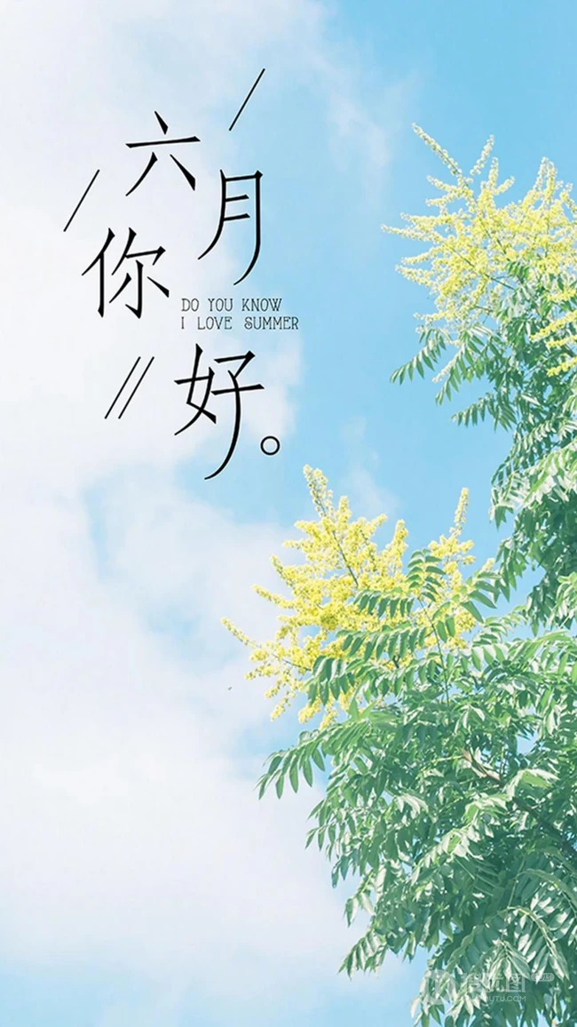 六月你好，唯美小清新植物花卉文字壁纸图片
