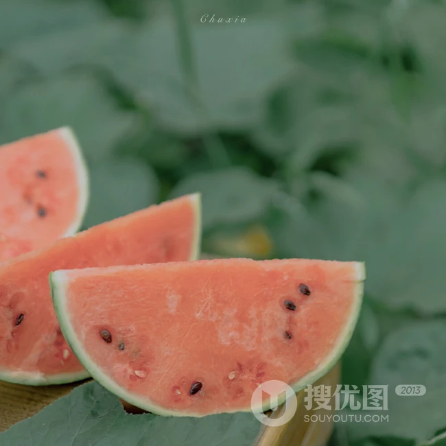 青青的草，怡人的绿，唯美清新的绿叶，树木，果实，啤酒瓶主题背景图片