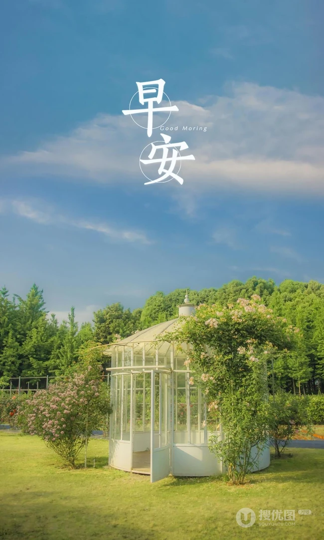早安，小清新图片，唯美早安文字手机壁纸