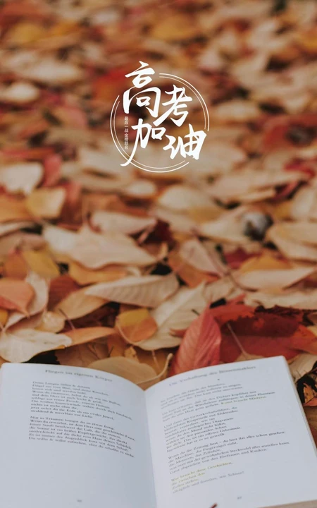 高考加油，创意高考唯美文字手机壁纸