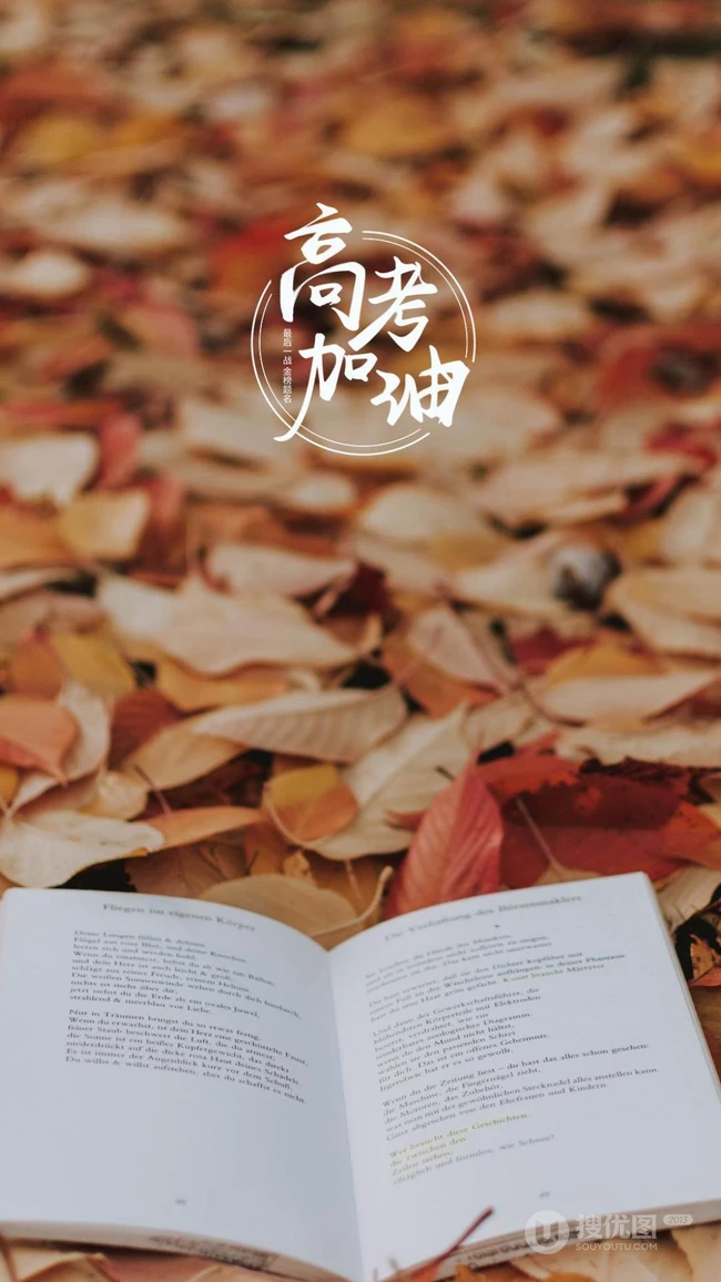 高考加油，创意高考唯美文字手机壁纸