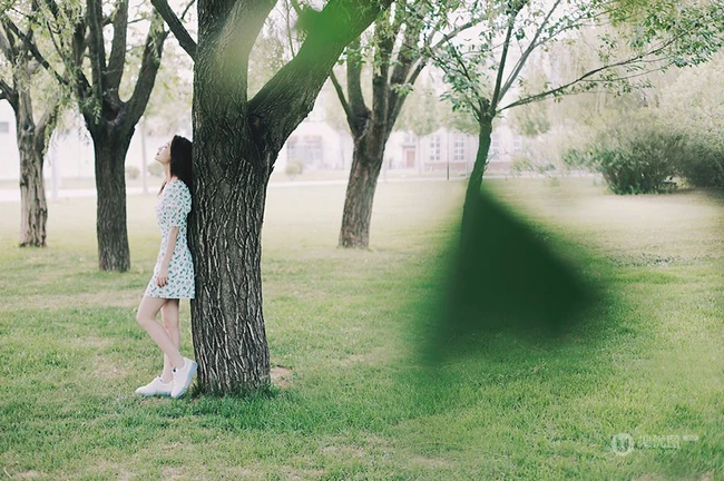 李沁清新小碎花裙户外青草地夏日美拍写真图片