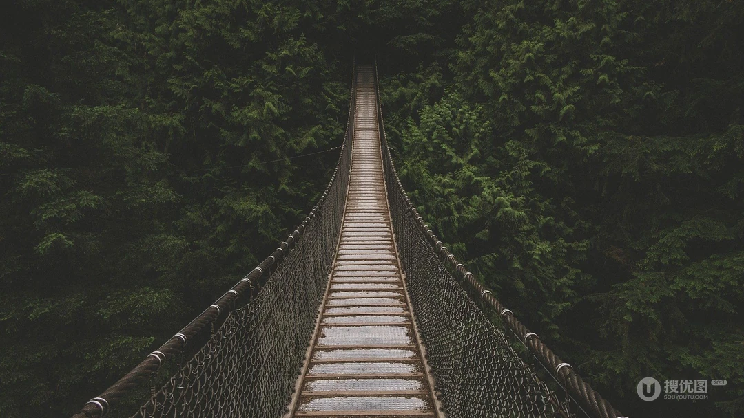 深山丛林中的吊桥唯美大自然风景壁纸图片