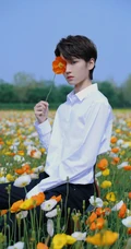干净帅气的衬衫少年元一户外花间唯美写真照片