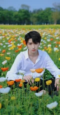 干净帅气的衬衫少年元一户外花间唯美写真照片