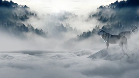 云雾缭绕的雪山，驻足在山头的两只狼唯美高清壁纸图片