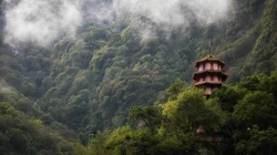 森林图片，不同场景，不同森林唯美高清森系壁纸图片