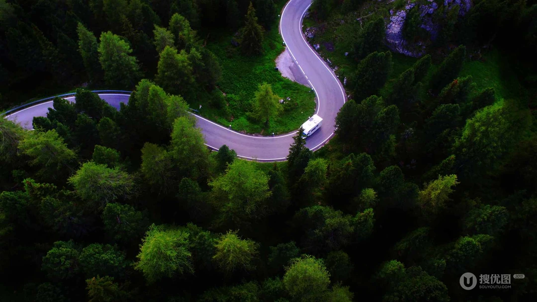 森林图片，不同场景，不同森林唯美高清森系壁纸图片
