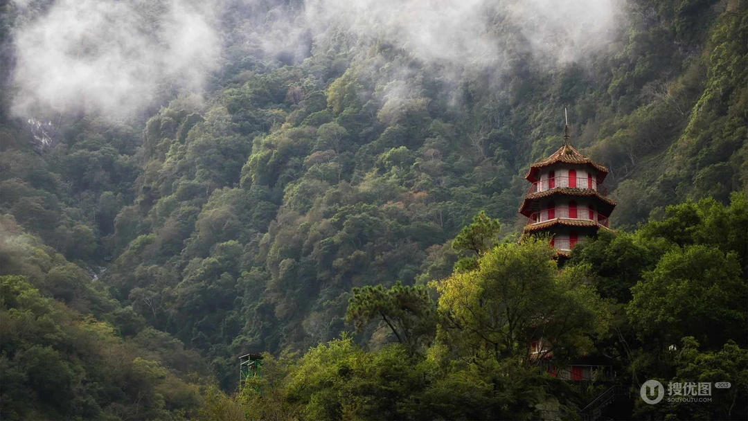 森林图片，不同场景，不同森林唯美高清森系壁纸图片