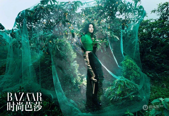 刘亦菲森系雨林风格唯美时尚杂志写真照