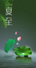 夏至有雨，仓里有米，小清新绿色植物系列夏至节气壁纸图片