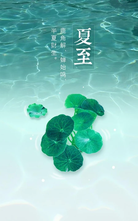 夏至有雨，仓里有米，小清新绿色植物系列夏至节气壁纸图片
