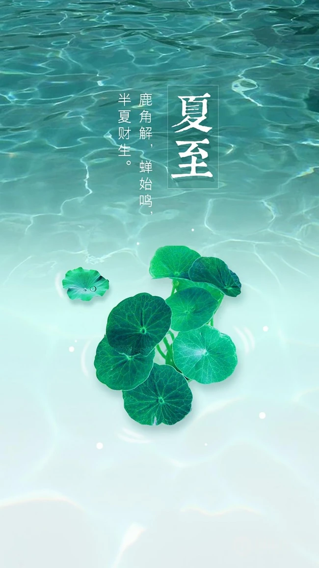 夏至有雨，仓里有米，小清新绿色植物系列夏至节气壁纸图片