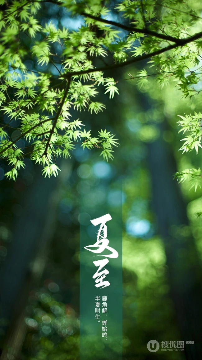 夏至有雨，仓里有米，小清新绿色植物系列夏至节气壁纸图片