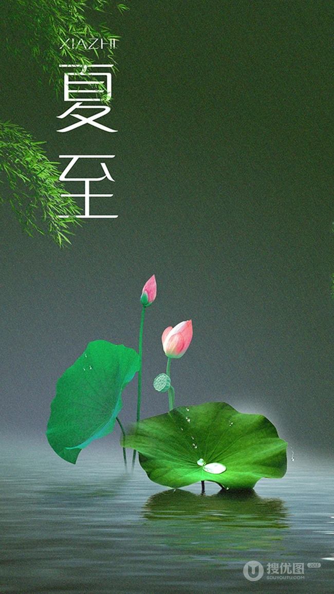 夏至有雨，仓里有米，小清新绿色植物系列夏至节气壁纸图片