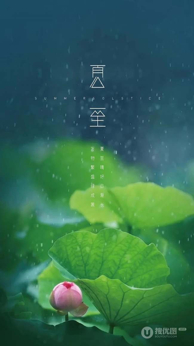 夏至有雨，仓里有米，小清新绿色植物系列夏至节气壁纸图片