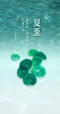 夏至有雨，仓里有米，小清新绿色植物系列夏至节气壁纸图片