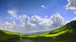 绿草如茵，一望无际的大草原自然风景壁纸图片