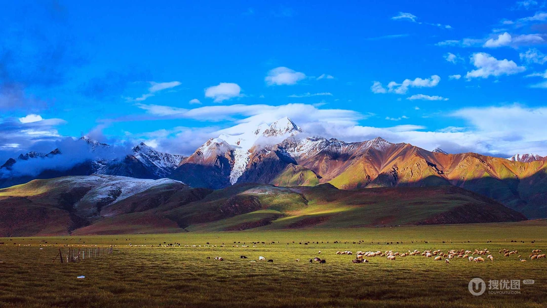 绿草如茵，一望无际的大草原自然风景壁纸图片