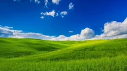 绿草如茵，一望无际的大草原自然风景壁纸图片