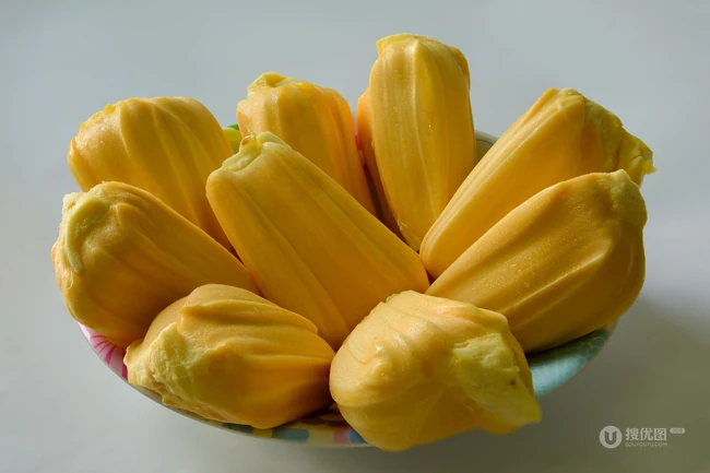 菠萝蜜图片，长在树上或大或小的热带水果菠萝蜜图片 第4张