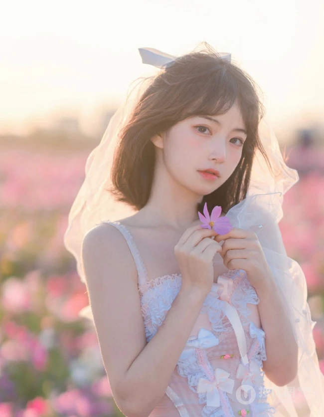 气质甜美短发婚纱蕾丝装少女仙气飘飘超美户外花草地写真图片