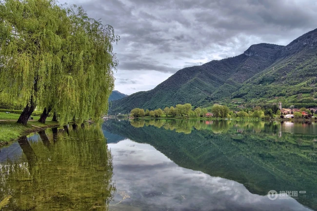 生在河边，河堤，岸边的各种柳树，垂柳唯美摄影图片
