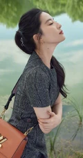 刘亦菲携可爱狗狗享受秋日户外风景旅拍写真图片