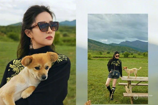 刘亦菲携可爱狗狗享受秋日户外风景旅拍写真图片