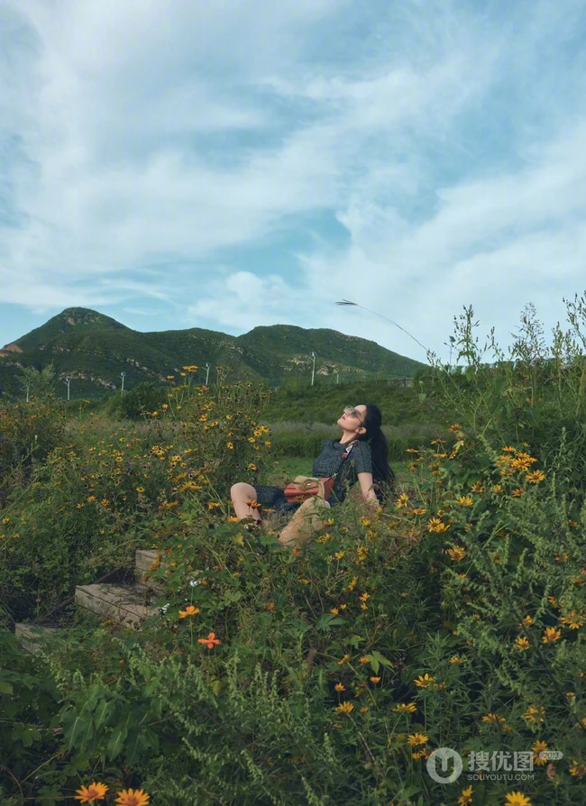 刘亦菲携可爱狗狗享受秋日户外风景旅拍写真图片